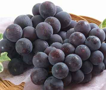 ぶどうの画像