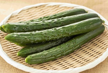 きゅうりの画像