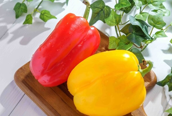 パプリカの画像