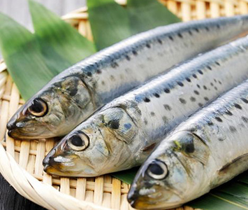 真いわしの画像