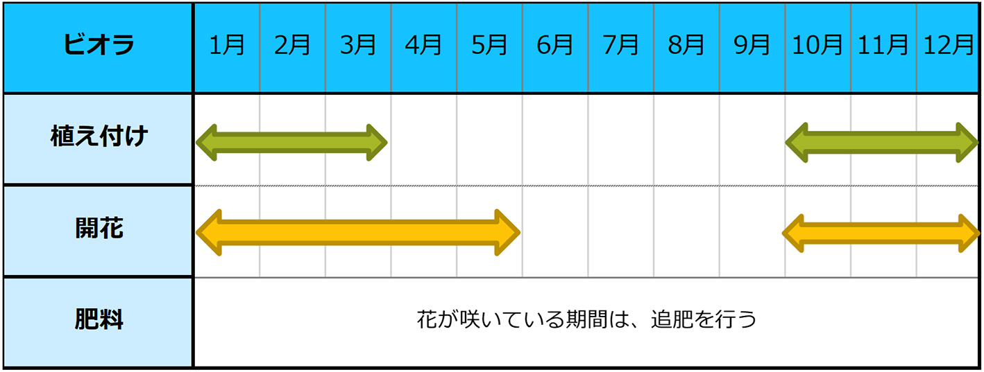 ビオラ種まきスケジュール
