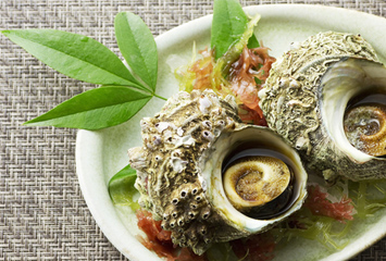 サザエのイメージ