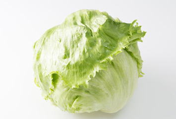 レタスのイメージ