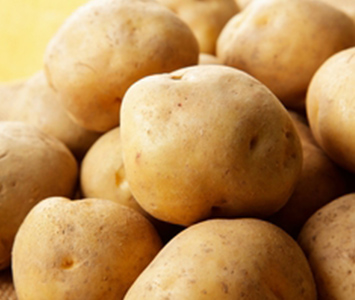 新じゃがのイメージ