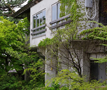 庭木が伸びている家