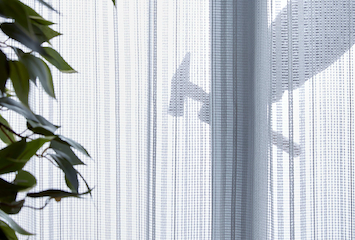 窓からの侵入者