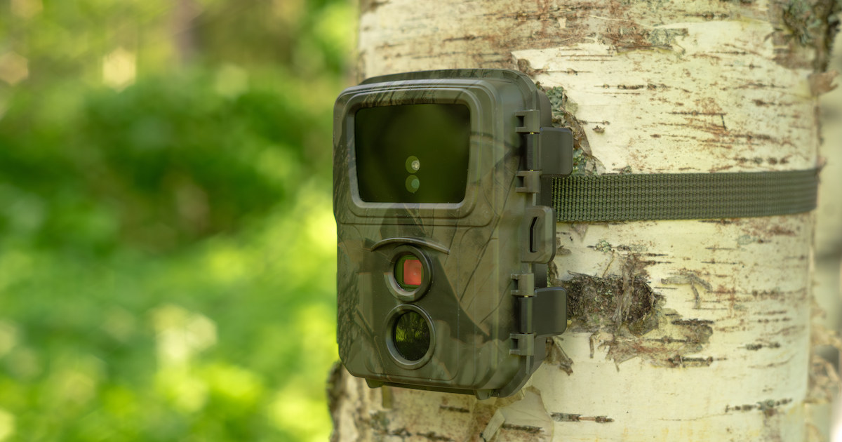 トレイルカメラとは？防犯カメラとの違いや防犯に活用するポイントを解説