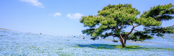 茨城県治安ランキング2025 市区町村別の治安が良い地域と悪い地域は？